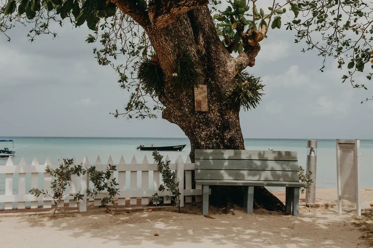 Cabanas Miss Mary Hotel Providencia Island Colombia